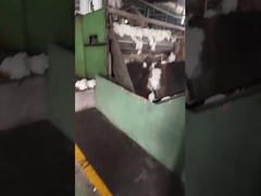 Fibra poliesterica di base rinnovabile a 100% Fibra di poliestere di media fibra