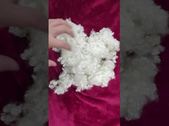 Fibra di graffetta di poliestere